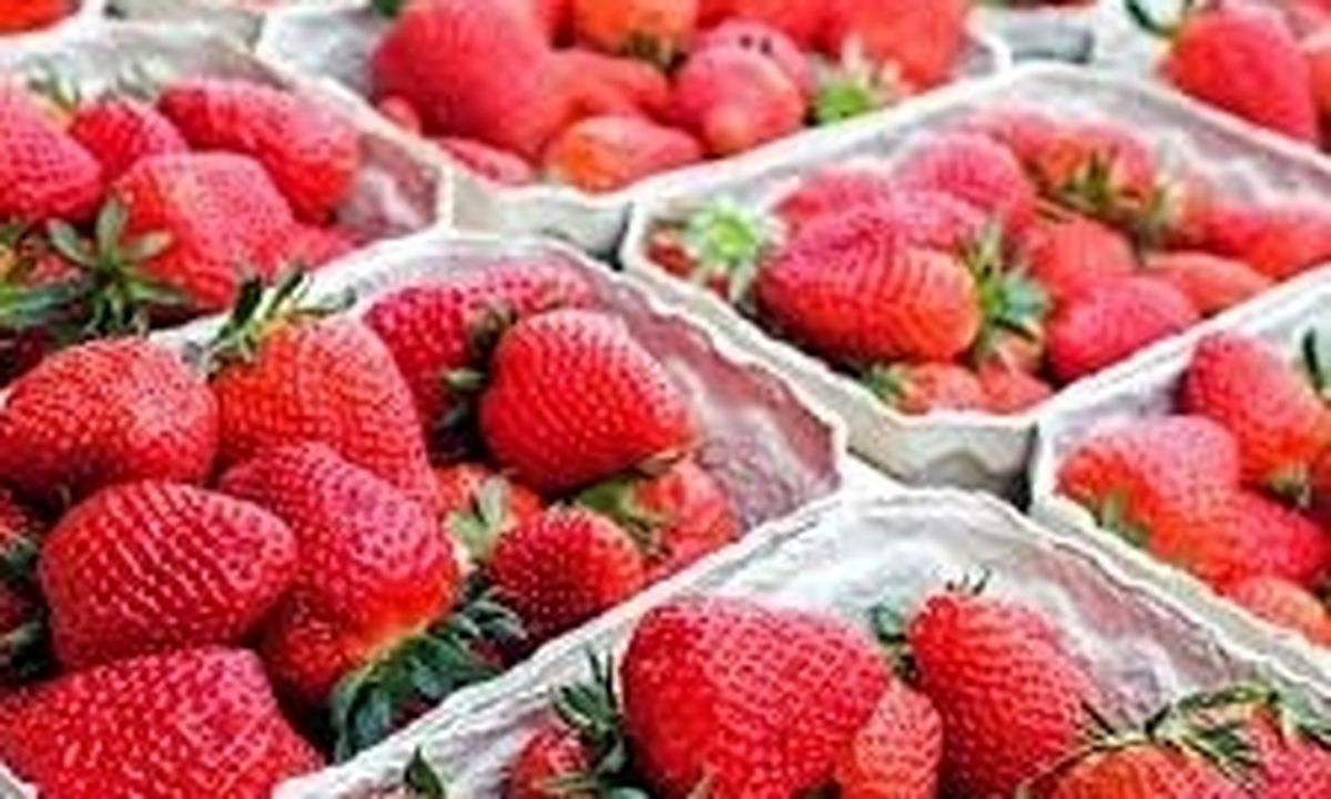 با توت فرنگی به جنگ سرطان سینه بروید