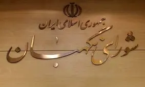 ۶۸ مورد گزارش از تخلفات انتخاباتی به دفاتر نظارت ارجاع شد