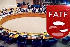 FATF نام پاکستان را در "فهرست خاکستری" خود نگه داشت