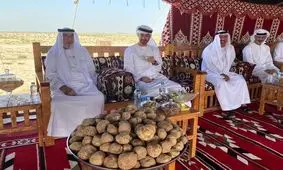 آفتابی شدن رئیس امارات