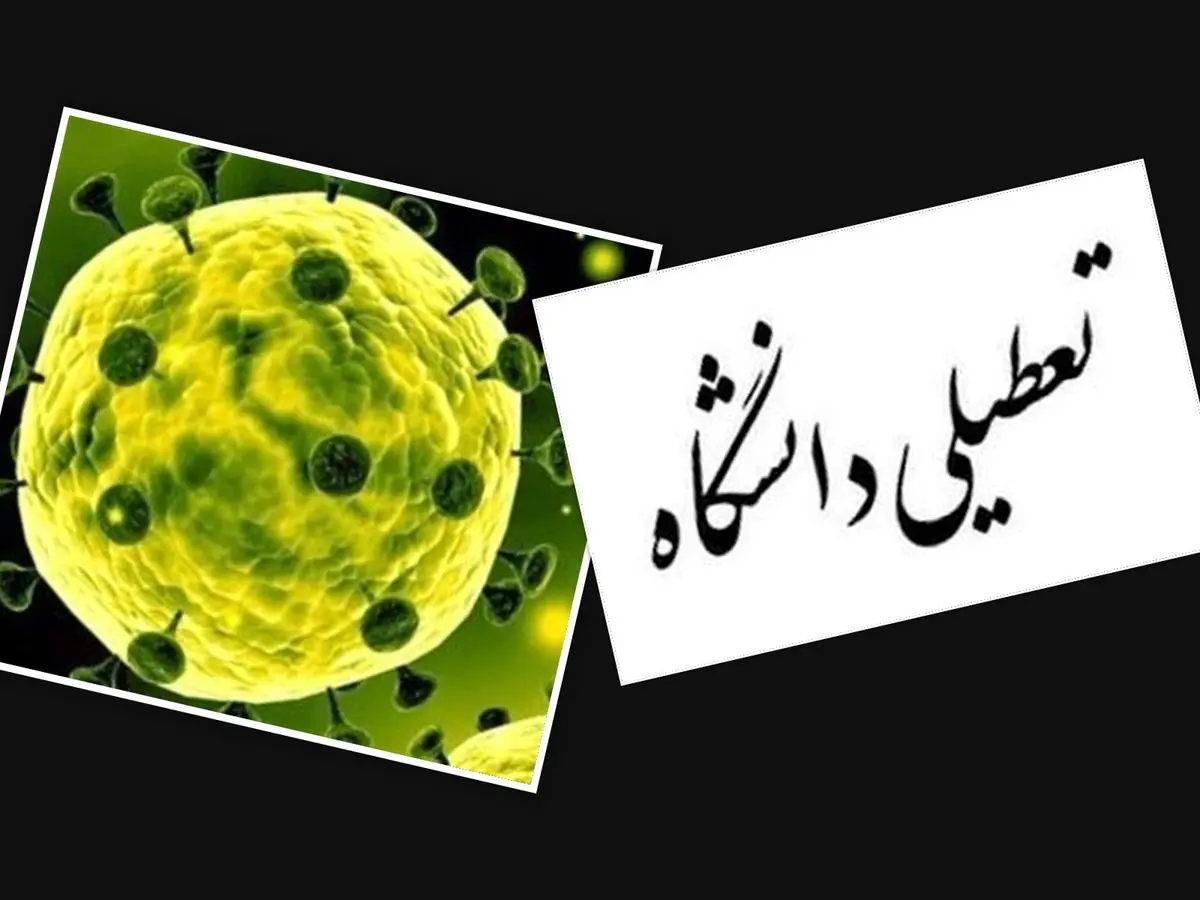 دانشگاه‌های استان کردستان تعطیل شد