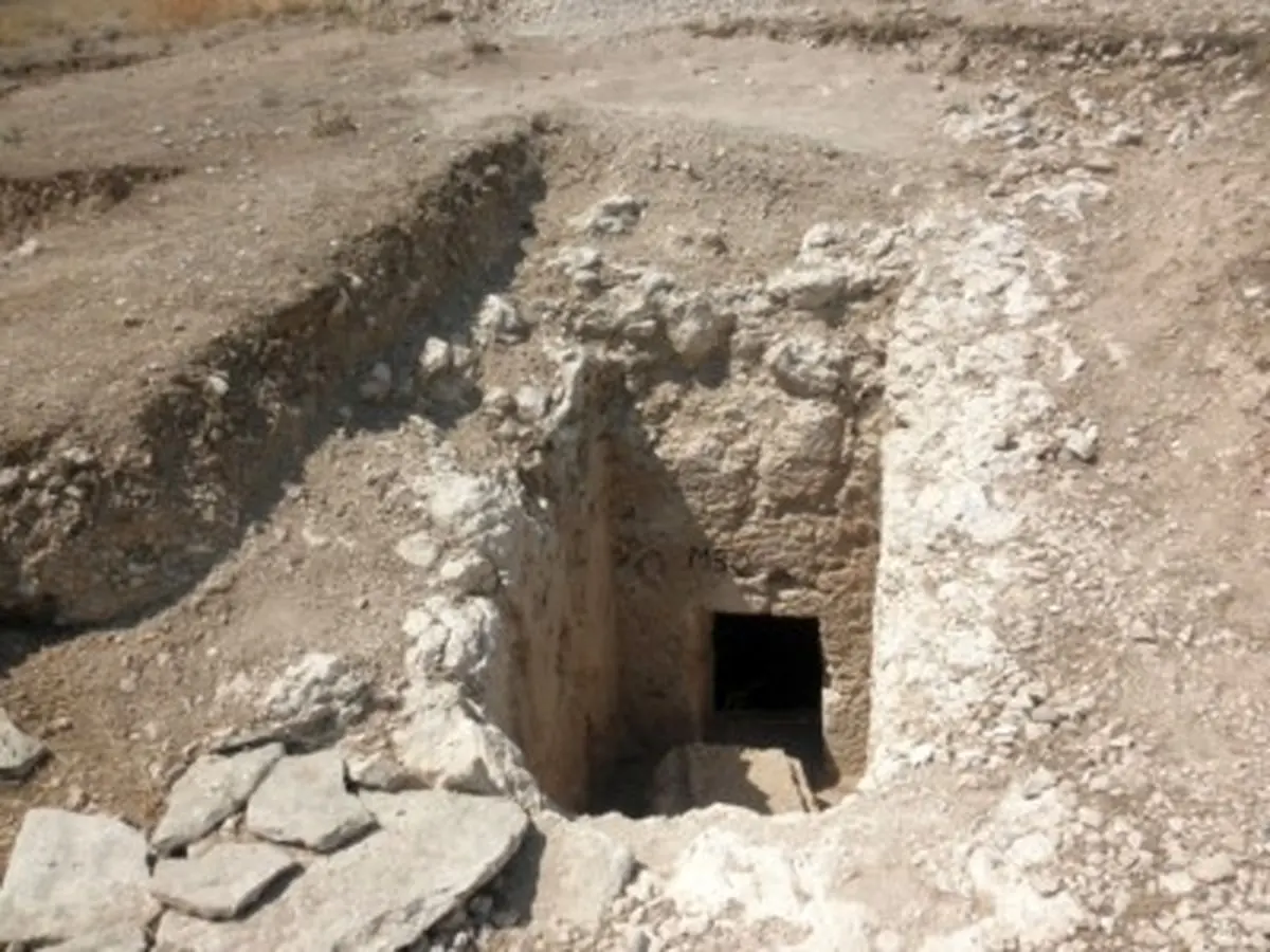 ناکام ماندن باند ۴ نفره حفاری کشف عتیقه‌جات در شهرستان دماوند/ خوراندن داروی بیهوشی به افراد ناکام ماند