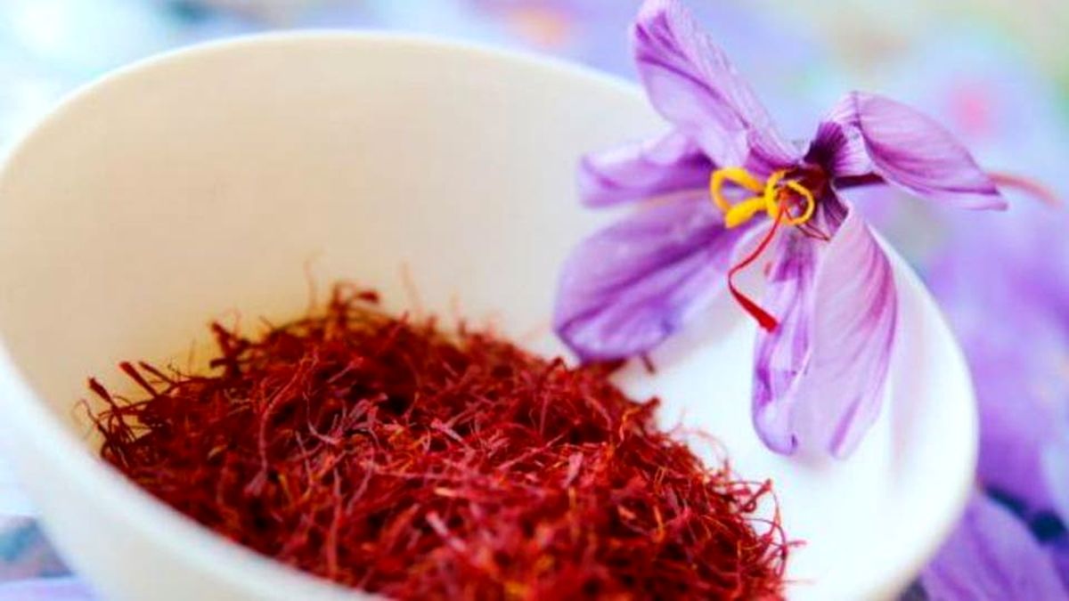 طلای سرخ ارزان شد