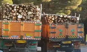 ۲۳ تُن چوب قاچاق در ماکو کشف شد