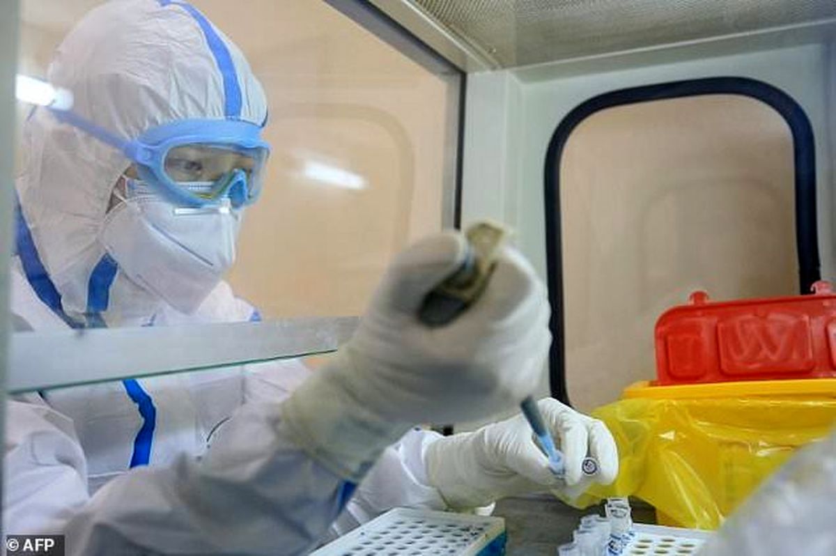 ادعای دانشمندان آمریکایی: واکسن کرونا کشف شد