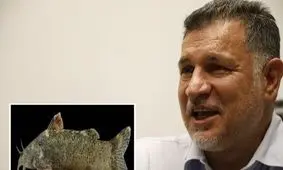 از ماهی علی دایی تا سوسک جورج بوش و قورباغه پرنس چارلز!