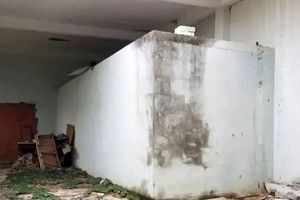 هنر خیابانی؛ خلاقیت هنرمند پرتغالی که این «دیوار» را به یک «اتوبوس قراضه» تبدیل کرده است