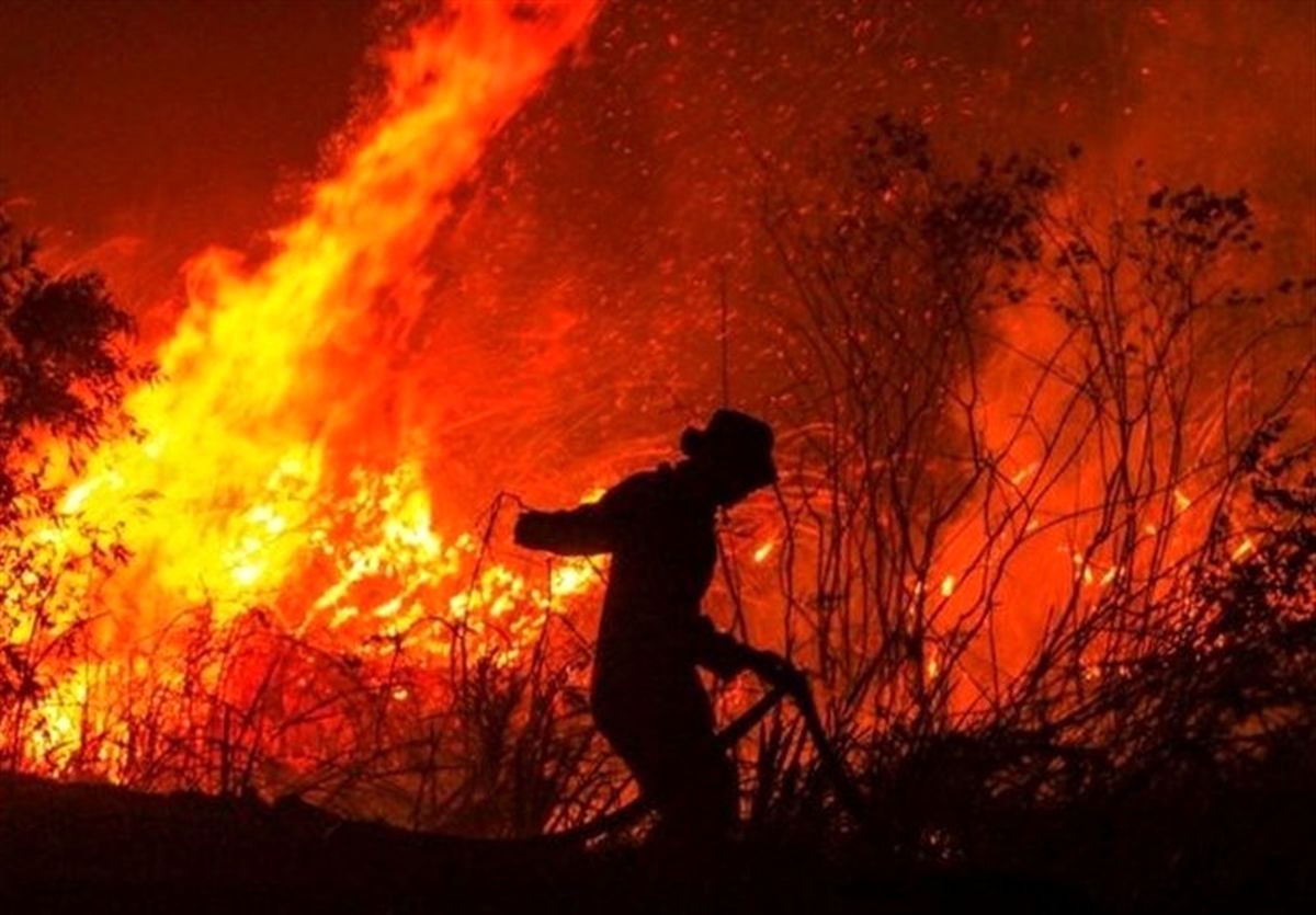 کاهش ۹۲ درصدی آتش سوزی جنگل ها نسبت به سال گذشته