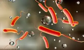 پیک بهاری «وبا»؛ این توصیه‌ها را جدی بگیرید