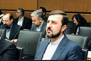 آژانس، راستی آزمایی تهران را تایید کرد