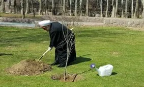 کاشت نهال توسط رییس جمهوری همزمان با روز درختکاری 