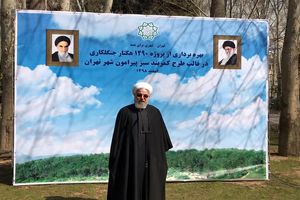درختان جنگلی اطراف تهران ۱۶ برابر ابتدای انقلاب شده است