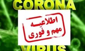 تمام مسابقات، تمرینات و باشگاه‌های ورزشی تا پایان سال تعطیل شد