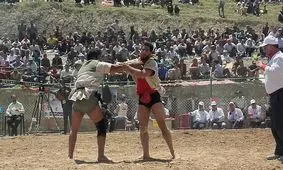 تعطیلی تمام مسابقات کشتی با چوخه در ایام نوروز