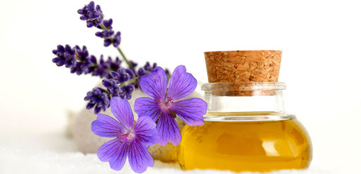 چرا از بنفشهها روغن ميگيريد؟