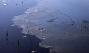 نشت نفت، رودخانه «تنگ تلخ» رامهرمز را آلوده کرد