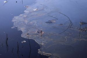 نشت نفت، رودخانه «تنگ تلخ» رامهرمز را آلوده کرد
