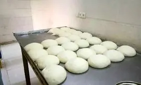 ۴ نانوایی در بوشهر پلمپ و تعطیل شد