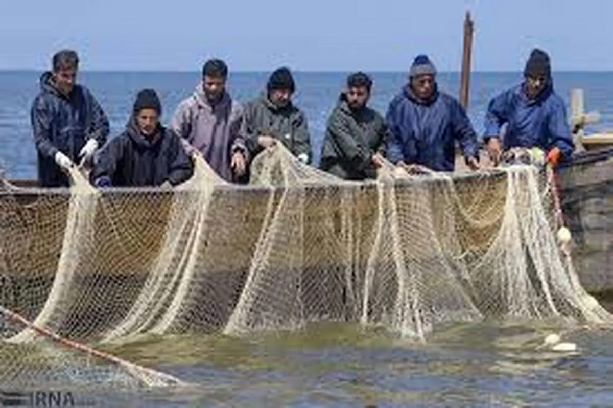 صیادان نیازمند حمایت دولتی هستند/ عیدی در کار نیست کسی هم ماهی شب عید نمی‌خرد