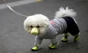 عکس‌های منتخب هفته از جهان