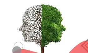 چرا طرز فکر شما در موفقیت‌تان تاثیرگذار است