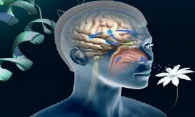 شیوع اختلال بویایی و احتمال ارتباط با کرونا