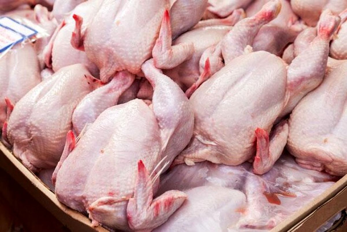 قطعهسازی گوشت مرغ در مراکز عرضه یزد ممنوع شد