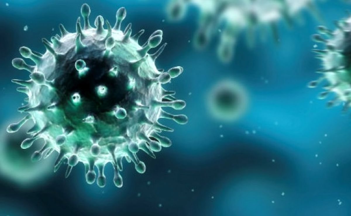 تعداد بیماران مبتلا به ویروس کرونا در استان بوشهر به ۱۸ نفر افزایش یافت