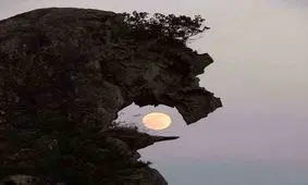 توهم‌های جالبی که در اشیای روزمره می‌بینیم!