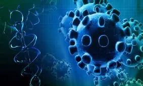 مادران باردار برای حفظ سلامت جنین در خانه بمانند