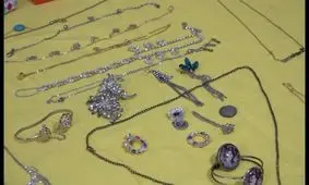 دستگیری ۲ سارق حرفه‌ای در همدان + فیلم