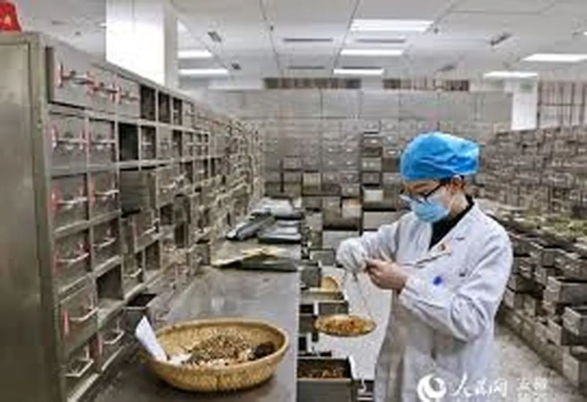 توصیه های پزشک چینی به مردم ایران برای شکست کرونا/ شیرین بیان، پونه کوهی، دارچین، زنجبیل و جینسنگ بخورید