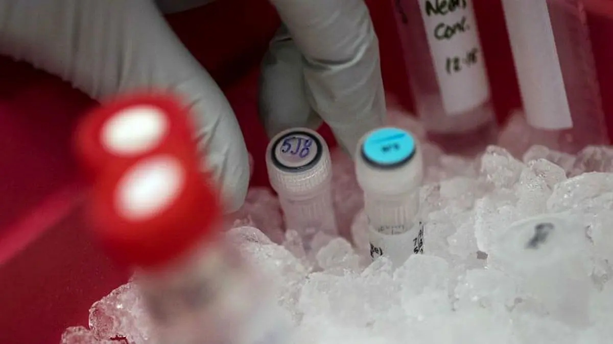 هجوم سرمایه‌گذاران جهان برای خرید سهام شرکت مدعی کشف واکسن کرونا