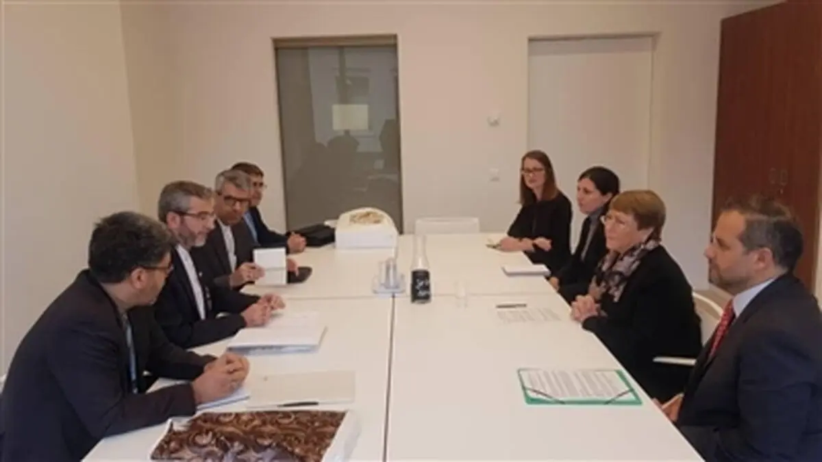 کمیسر عالی حقوق بشر ترور سردار سلیمانی را محکوم کرد