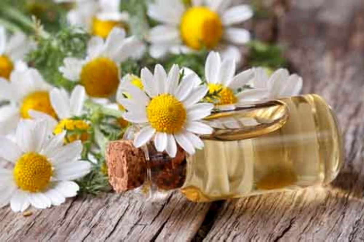 خواص روغن بابونه برای زیبایی پوست و مو