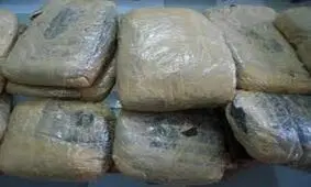 کشف 217 کیلو مواد افیونی در بندرلنگه