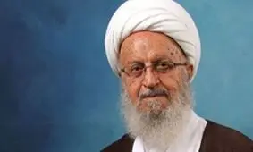 قدردانی نمایندگان اهل سنت و روحانی مجلس از مواضع آیت‌الله مکارم