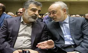 صدای شنیده شده در سازمان انرژی اتمی به خاطر تست آژیر بود / آژیر ۱۳ دقیقه به صدا درآمد