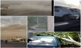 وقتی طوفان چرت عصرگاهی تهران را پاره می‌کند/60 حادثه در یک عصر طوفانی+فیلم و عکس