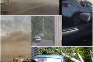 وقتی طوفان چرت عصرگاهی تهران را پاره می‌کند/60 حادثه در یک عصر طوفانی+فیلم و عکس