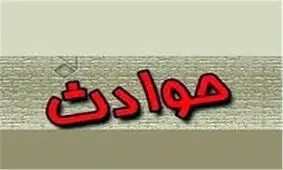 چای‌کم‌رنگ‌شگرد‌سرقت‌100‌میلیونی