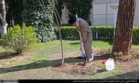 کاشت دو نهال توسط رهبر انقلاب در هفته منابع طبیعی