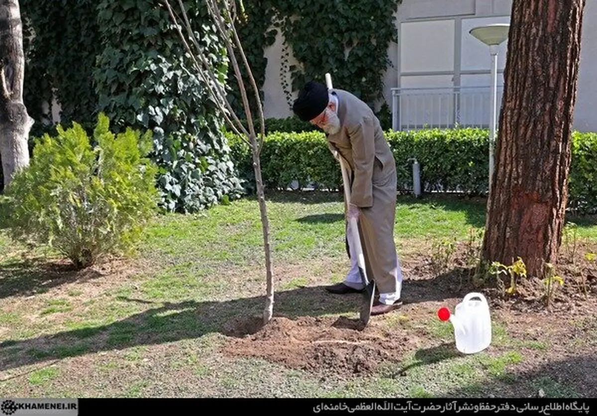 کاشت دو نهال توسط رهبر انقلاب در هفته منابع طبیعی