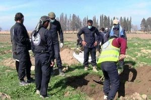 کشف گور جمعی متعلق به جنایات داعش در شمال سوریه با 145 جسد