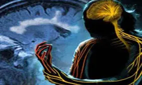 عامل اصلی بیماری «ام اس» شناسایی شد