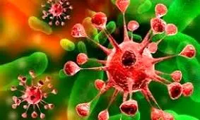 تصاویر تکان دهنده از مردی که بزاقش را به دستگیره‌های مترو می‌مالد