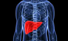 مصرف گوشت و پروتئین حیوانی، خطر بروز کبد چرب را به دنبال دارد