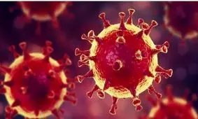 توئیت مشترک دو نماینده زن مجلس درباره کرونا و تحریم‌های آمریکا