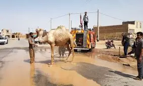 نجات شتر از داخل کانال آب