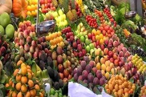 آغاز عرضه میوه تنظیم بازاری شب عید+ قیمت انواع میوه